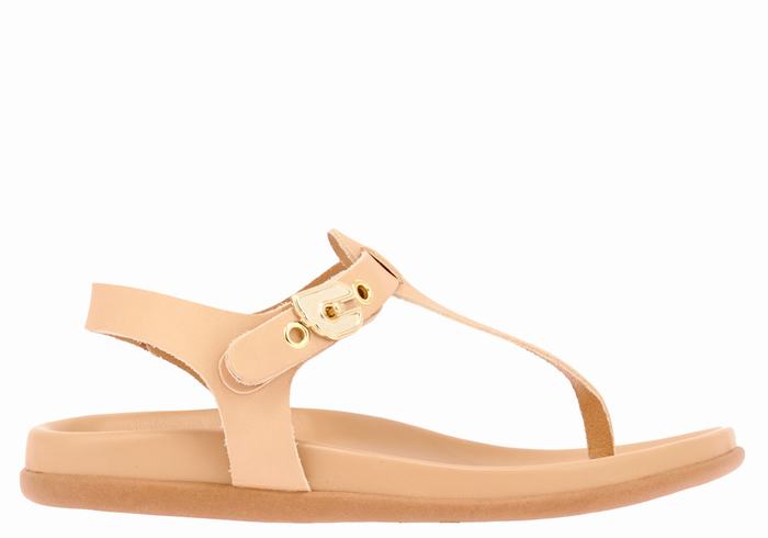 Sandales Bride Arrière Ancient Greek Sandals Alki Flip Flop   | PAM-7976118